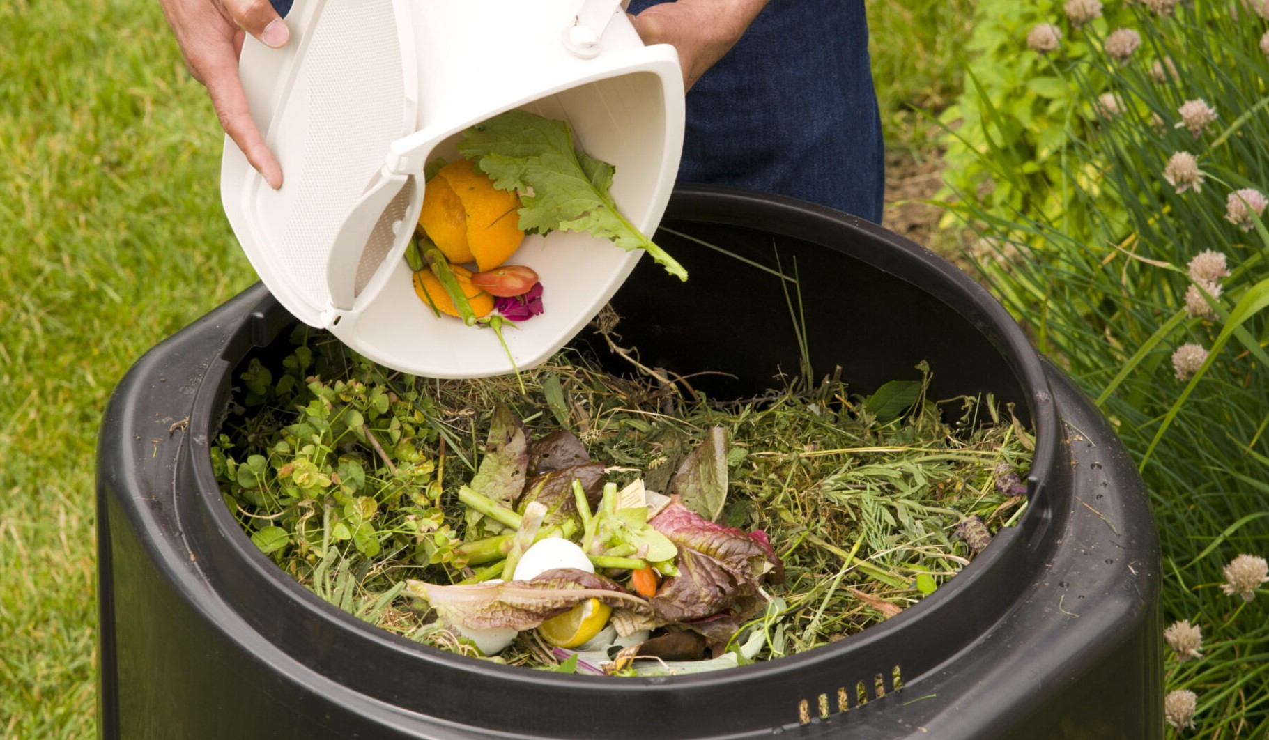 Nuova distribuzione di compostiere per uso domestico